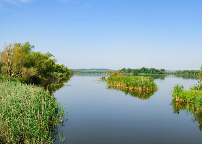 בית נופש 16 *